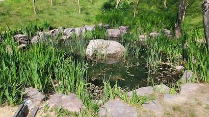 반룡산 둘레 길에 아름답고 운치 있는 연못