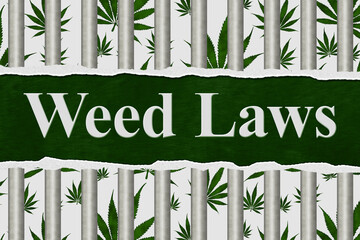  Weed Laws the green marijuana