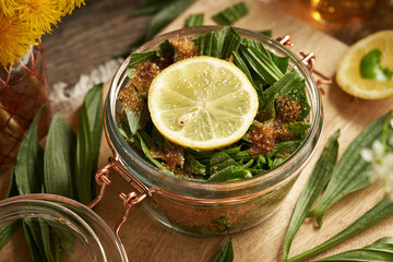 Preparation of ribwort plantain syrup for cough from fresh leaves, sugar and lemons