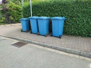 Three large and one small blue plastic garbage cans stand on the side of the road in front of a green hedge ready for collection