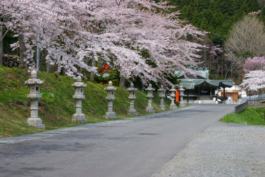 函館八幡宮