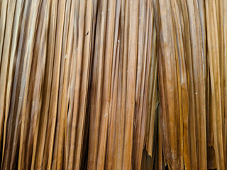 close up of a roof woven from thatch leaves