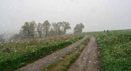 Wechselhaftes Wetter Schnee, Sonne, Regen am Feldweg