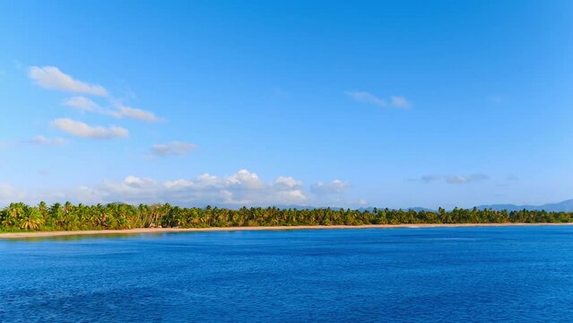 Coconut palm grove on an empty Indonesian beach on a tropical island. Blue sky background with white clouds and turquoise ocean on a sunny day. Ideal natural landscape for summer holidays, panorama.