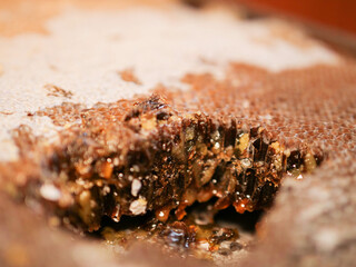 Dark color honeycomb with honey. Selective focus. High quality sweet organic product.