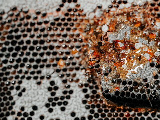 Dark color honeycomb with honey. Selective focus. High quality sweet organic product.