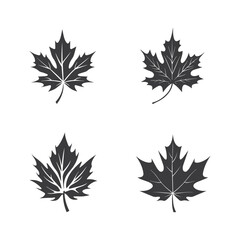 Autumn leaves set, vector illustration, black icon on white background 