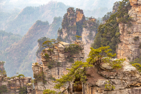 Zhangjiajie National Forest Park (or Avatar park). Wulingyuan, Hunan province, China
