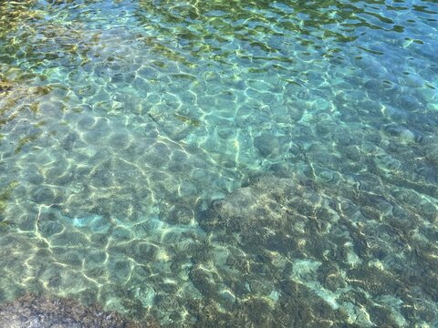 Beautiful sea transparent clear water with seaweed at the bottom. 