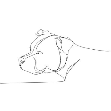 American Staffordshire Terrier, AmStaff, staffy, dog breed, companion dog one line art. Continuous line drawing of friend, dog, doggy, friendship, care, pet, animal, family, canine.