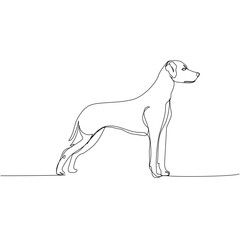 Dalmatian, dog breed, companion dog one line art. Continuous line drawing of friend, dog, doggy, friendship, care, pet, animal, family, canine.
