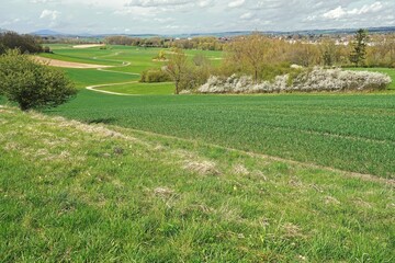 Frühlingslandschaft in Franken