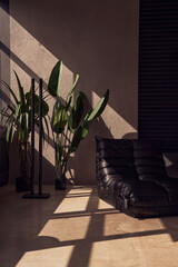 The interior is designed in a masculine style with a black leather sofa with space for copying. Artificial ficus tree and palm tree in the interior. High quality photo