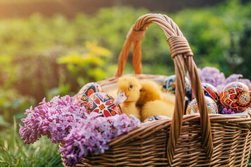 Cute little ducklings sitting with pysanka eggs n basket, lilac flowers bouquet