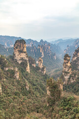 Fototapeta na wymiar Zhangjiajie National Forest Park (or Avatar park). Wulingyuan, Hunan province, China
