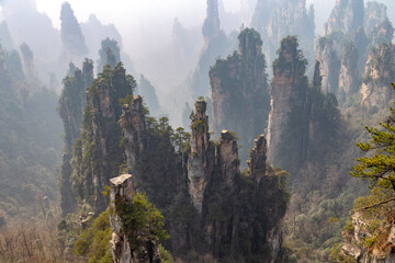 Zhangjiajie National Forest Park (or Avatar park). Wulingyuan, Hunan province, China