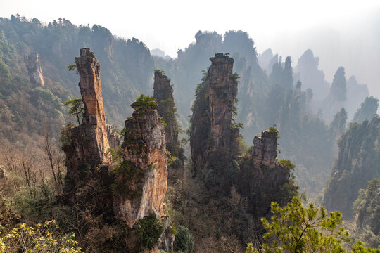 Zhangjiajie National Forest Park (or Avatar park). Wulingyuan, Hunan province, China