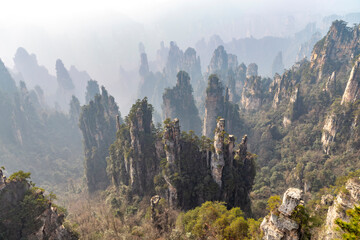 Zhangjiajie National Forest Park (or Avatar park). Wulingyuan, Hunan province, China
