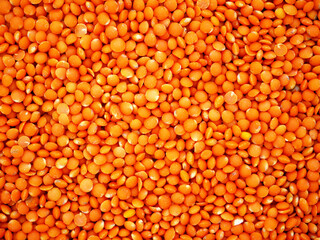 Overhead view of uncooked red lentils. 
