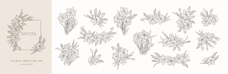 Set of daffodil flower bouquets line art isolated. Spring floral narcissus black logo wreath sketch plant. Vector illustration botanical stem, floral bloom