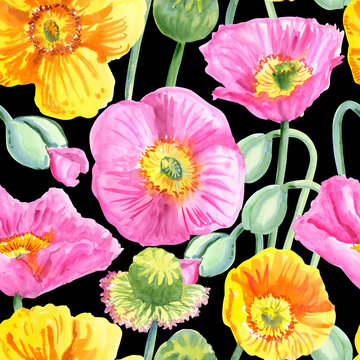 Seamless pattern of pink and yellow poppy flowers painted with watercolours on a black background. Botanical collection of garden and wild plants. For fabric, sketchbook, wallpaper, wrapping paper.