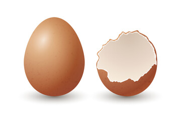 Vector 3d Realistic Brown Chicken Eggs. Broken Chicken Egg, Cracked Two Parts, Opened Crack Raw Chicken Egg With Yolk Closeup Isolated. Vector Eggs Isolated. Half Egg in Front View