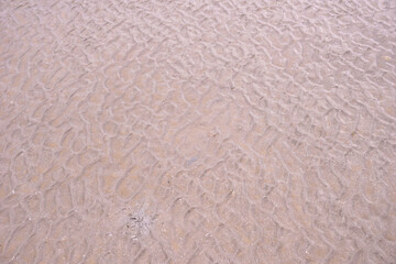 texture of sand, close up