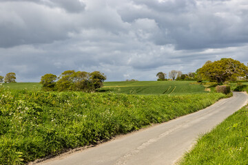 A country road in rural Sussex, on a spring day