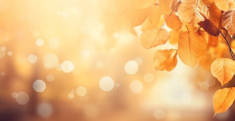 the beauty of autumn with a wallpaper featuring golden yellow and warm orange-brown leaves against a blurred forest backdrop, illuminated by the gentle glow of sunshine and soft glare lights.
