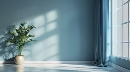 Blue room with a potted palm tree and a large window