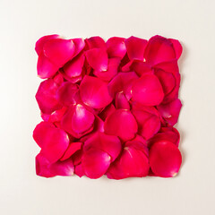 Creative border frame made of red roses petals. Minimal nature background. Spring flower concept.