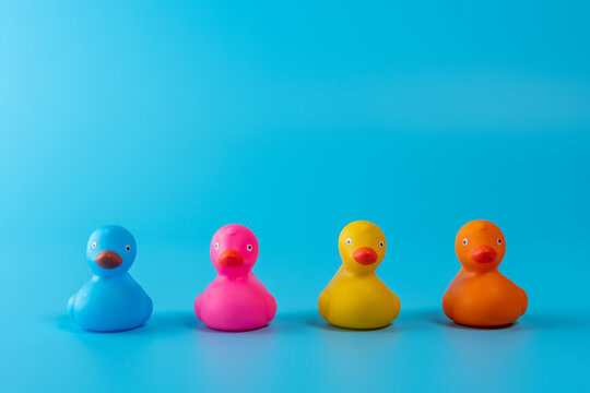 Colorful rubber ducks on blue background. Summer minimal concept.
