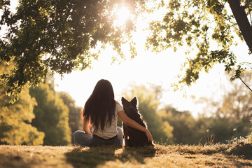border collie dog sitting hugging a young woman wearing jeans in a park in the summer seen from the...
