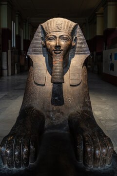 Cairo, Egypt - November 14 2023: Granite Sphinx of Hatshepsut is displayed in the Egyptian Museum of Cairo, Egypt capital city