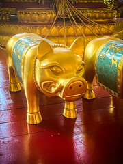 Golden pig statue is a beautiful Thai and Chinese architecture of Nachas sa thai chute shrine, naja shrine, najasaataichue, nezha shrine chinese temple. good luck Chinese New Year celebrations. - obrazy, fototapety, plakaty