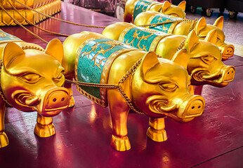 Golden pig statue is a beautiful Thai and Chinese architecture of Nachas sa thai chute shrine, naja...