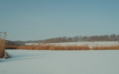 Winter landscape, nature of Ukraine, snow, cold, mood, weather, atmosphere