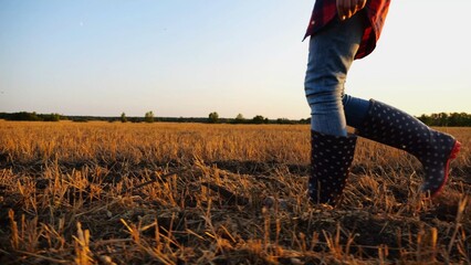 Female feet of young farmer going through the barley plantation at sunset. Legs of agronomist in boots walking among wheat meadow at dusk. Concept of agricultural business. Slow mo