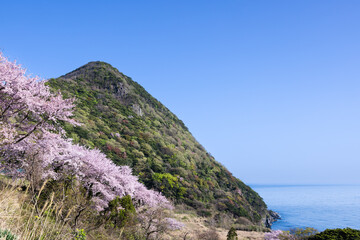 春の丹後半島　犬ヶ岬