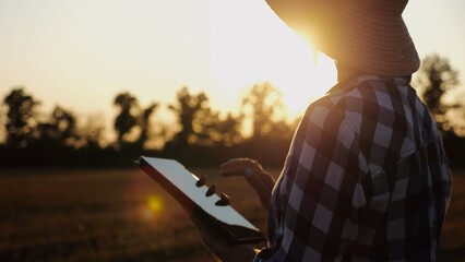 Female agronomist using digital tablet at wheat meadow at dusk. Farmer monitoring harvest at barley field at sunset. Beautiful scenic landscape. Concept of agricultural business. Slow mo