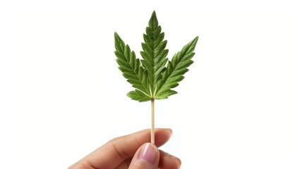 Photo advertisement of a hand showcasing marshmallows of diverse shapes and colors on a stick, crisp detail, against a clean isolated background, studio lighting