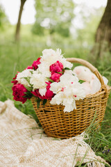 bouquet of peonies in basket on the grass