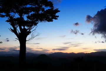 夕焼けに染まる空と木のシルエット