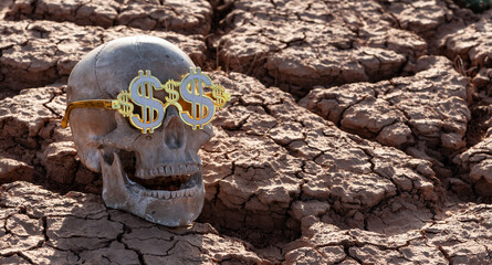 Skull of a man wearing glasses with an image of the US dollar symbol on heat-cracked clay in the...