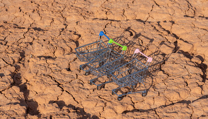 Miniature shopping carts on heat-cracked clay in the desert