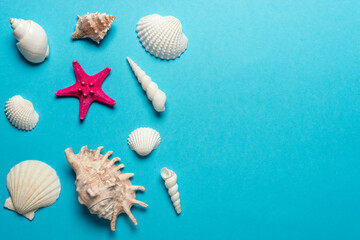 Creative seashells composition on blue background. Summer minimal concept.