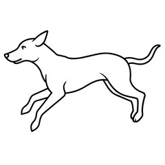jumping dog vector illustration
