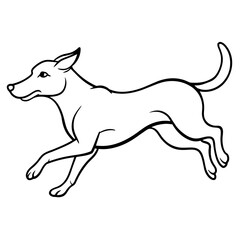 jumping dog vector illustration
