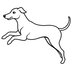 jumping dog vector illustration