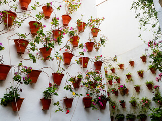 pots de fleurs accrochés aux murs d'un patio andalou à Cordoue